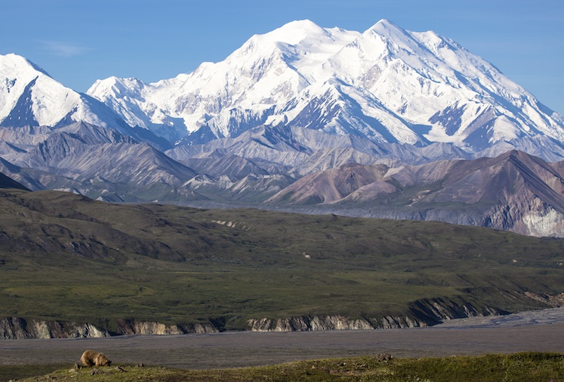 United state of America/Denali National Park