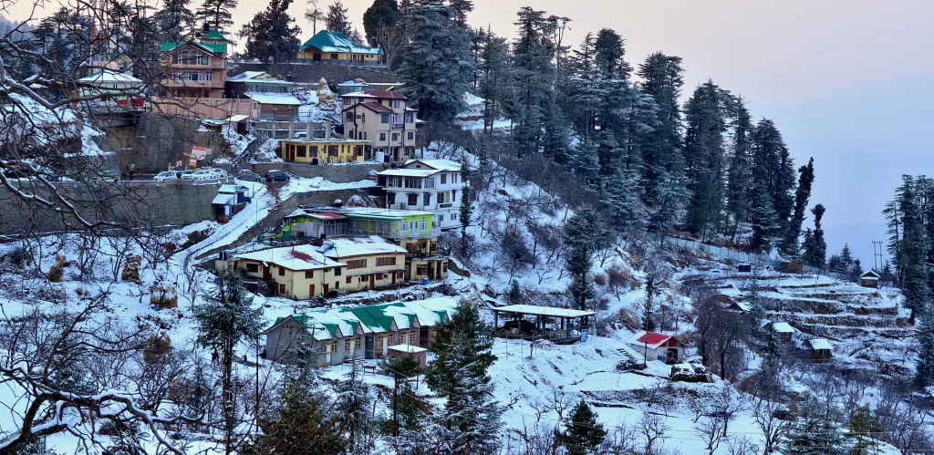 Shimla