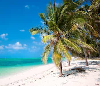 Lakshadweep